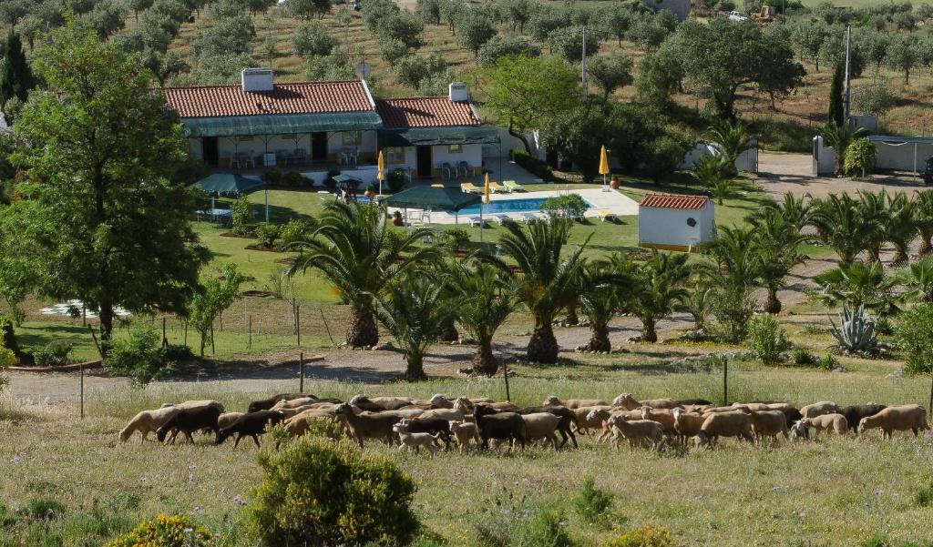Monte Da Boa Vista - Descanso Perfeito Hotel Portel Bagian luar foto